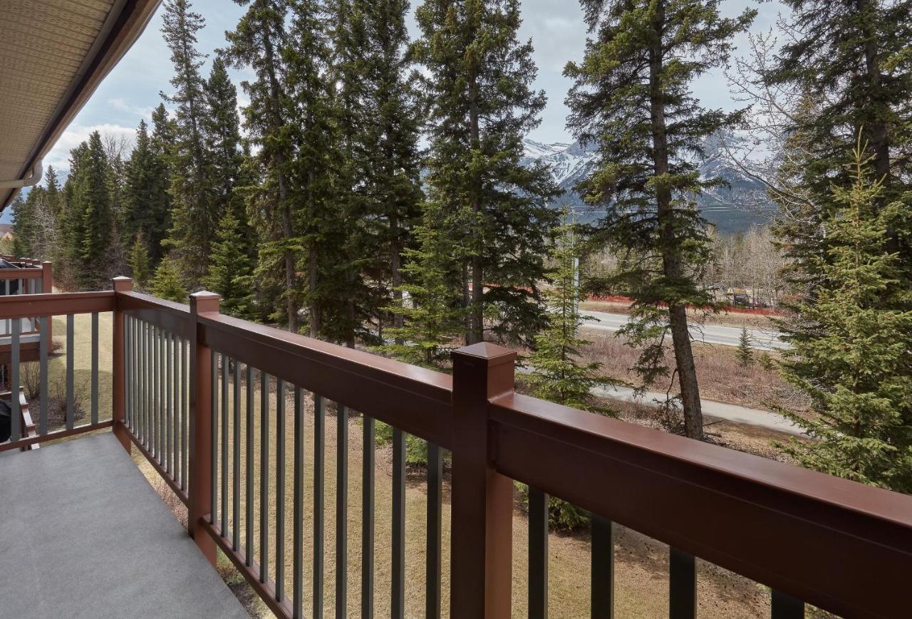 Newly Renovated Grizzly Lodge, Spacious 3Br 2Ba With Open Pool, Hot Tub Canmore Exterior foto